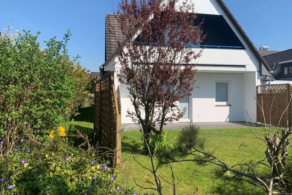 224503-View