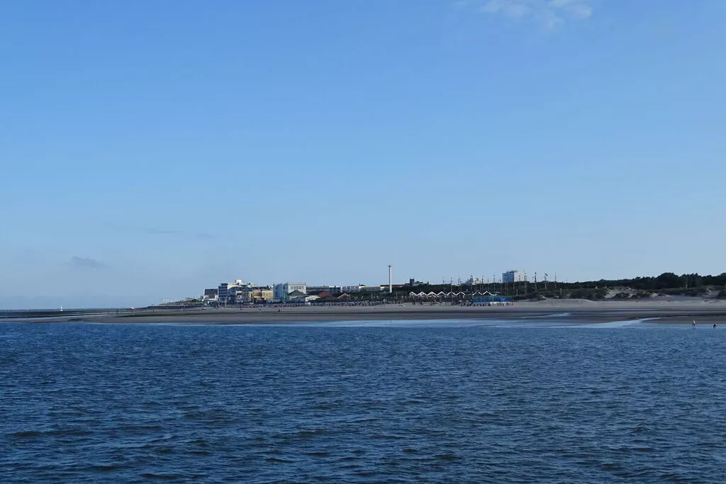 318805-View