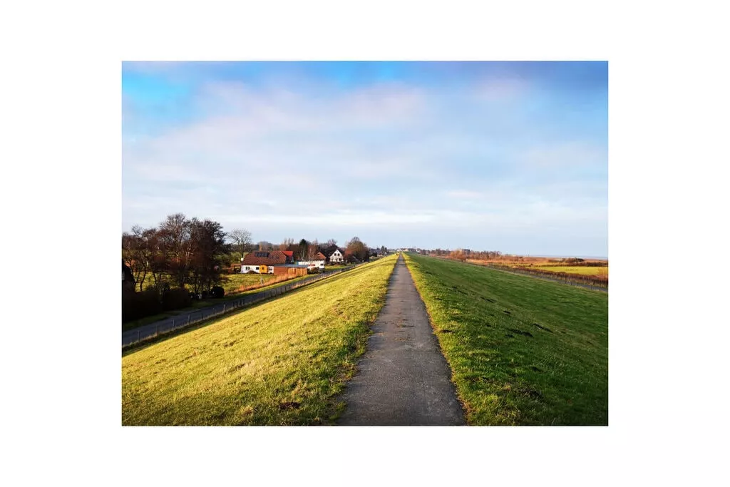 294981-View