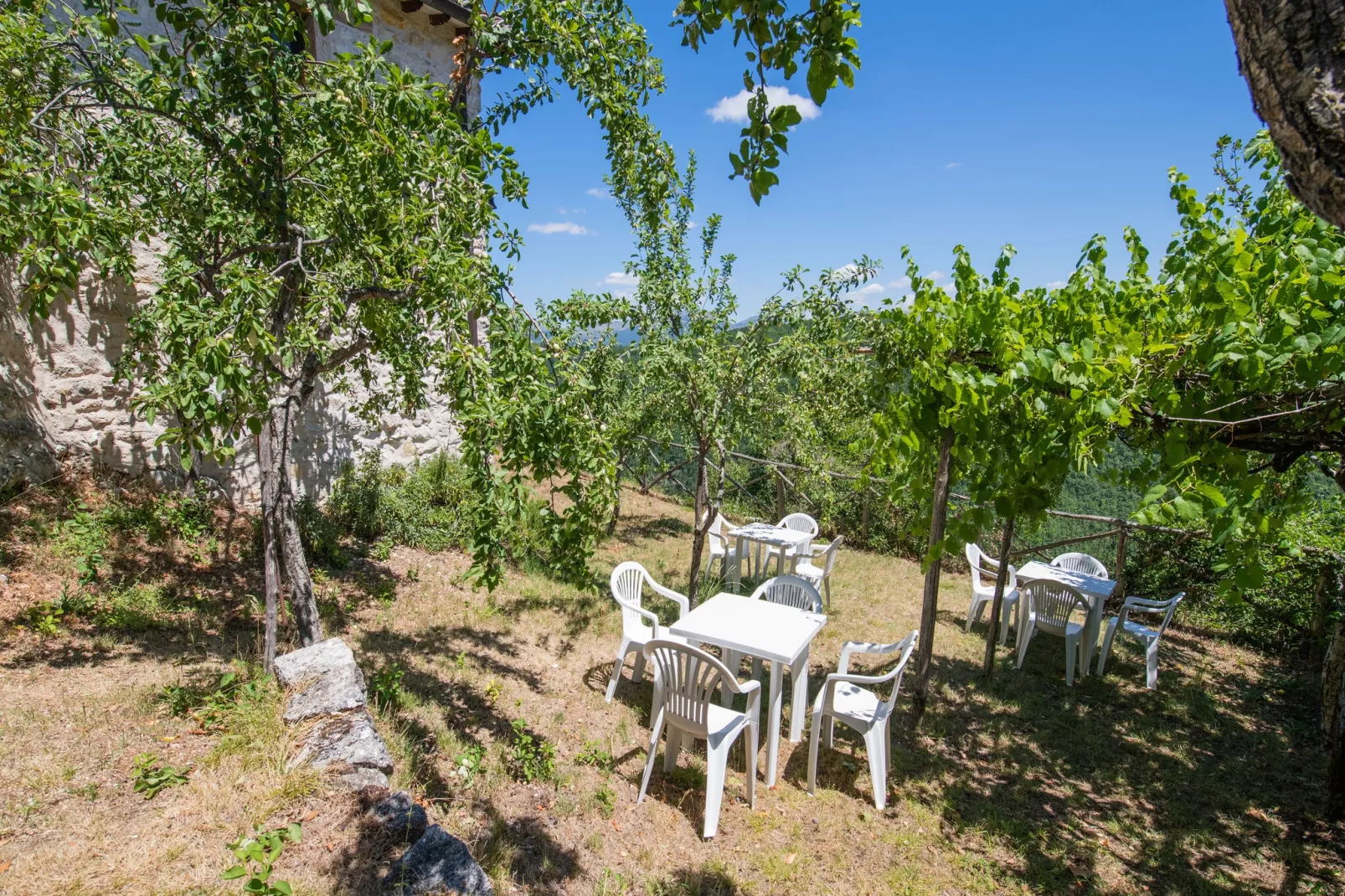 Fonni Verde-Gardens summer