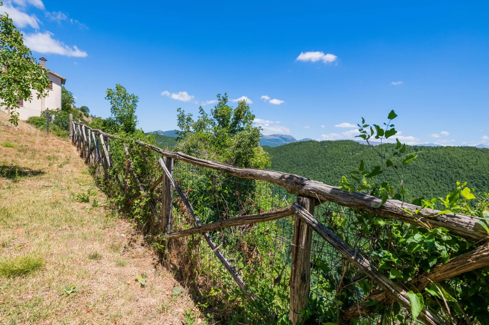 Fonni Verde-View summer