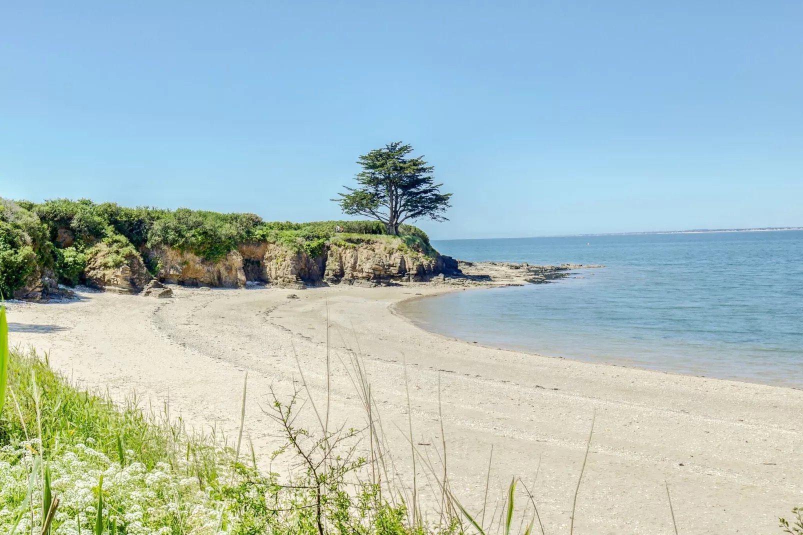 Plein Sud-Areas summer 5km