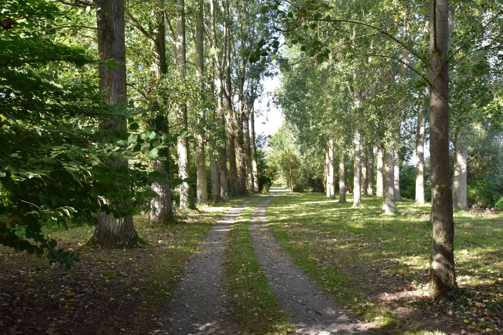 Domaine Les Ziettes-Gardens summer