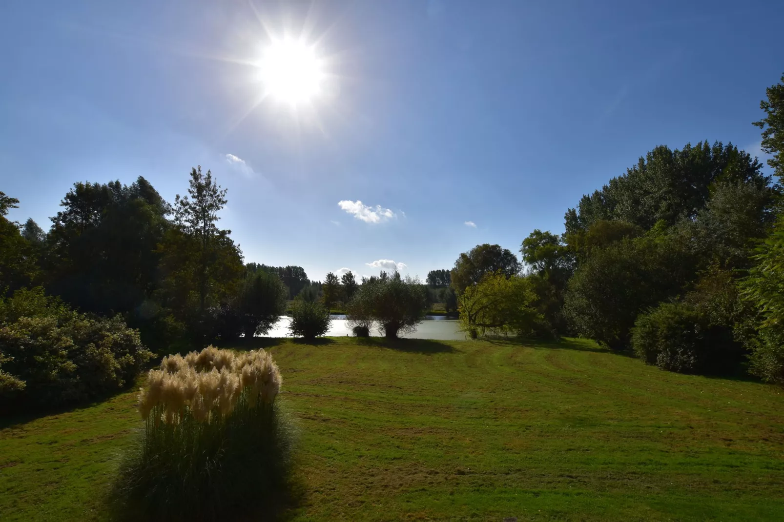 Domaine Les Ziettes-Gardens summer