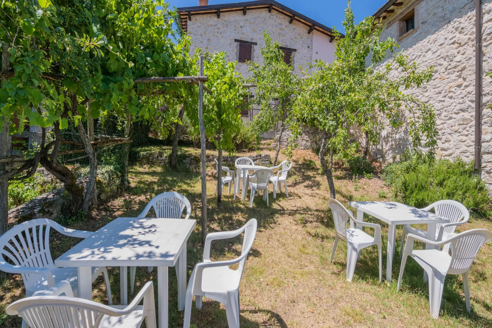 Fonni Giallo-Gardens summer