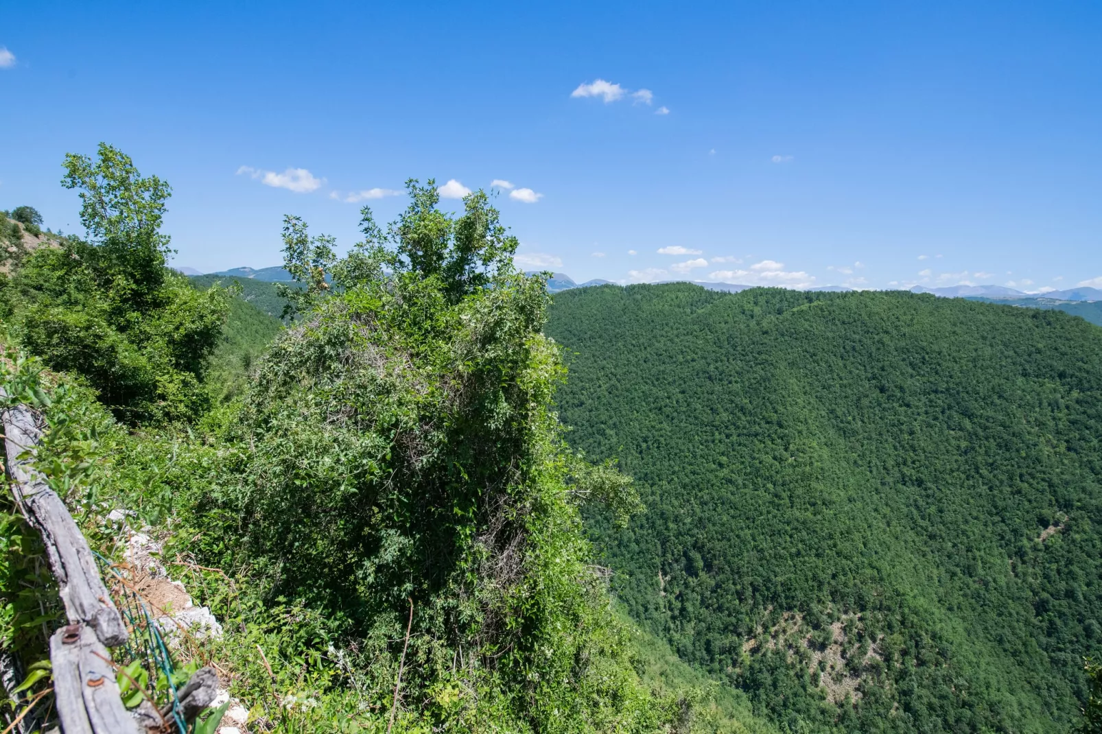 Fonni Giallo-Areas summer 1km