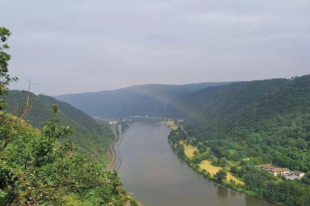 269613-View