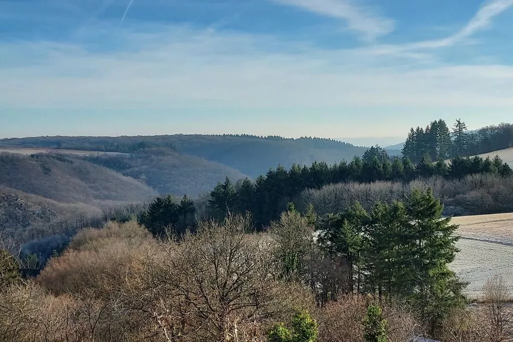 383556-View