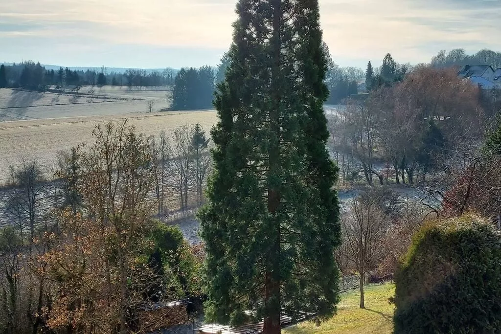 383556-View