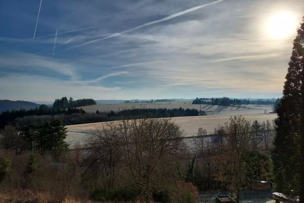 383556-View