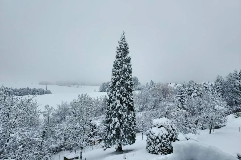 383556-View