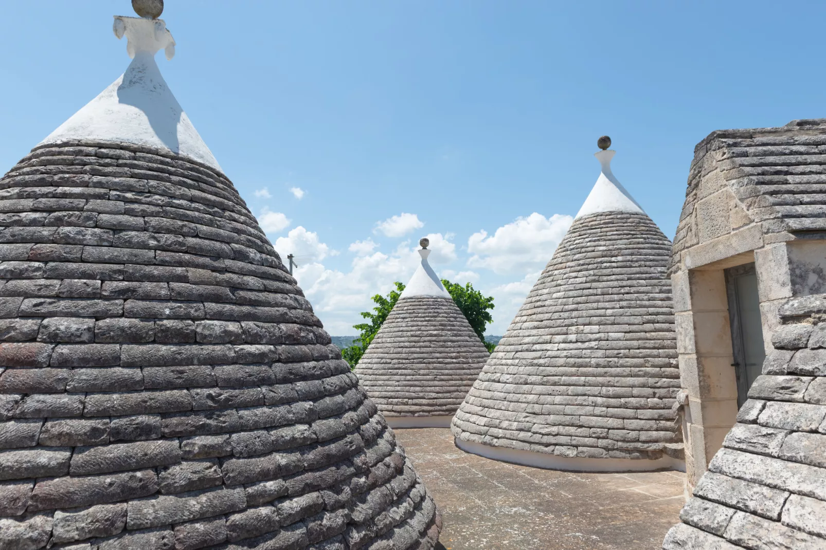 Trulli Tre Corbezzoli - Ostuni-Extérieur été
