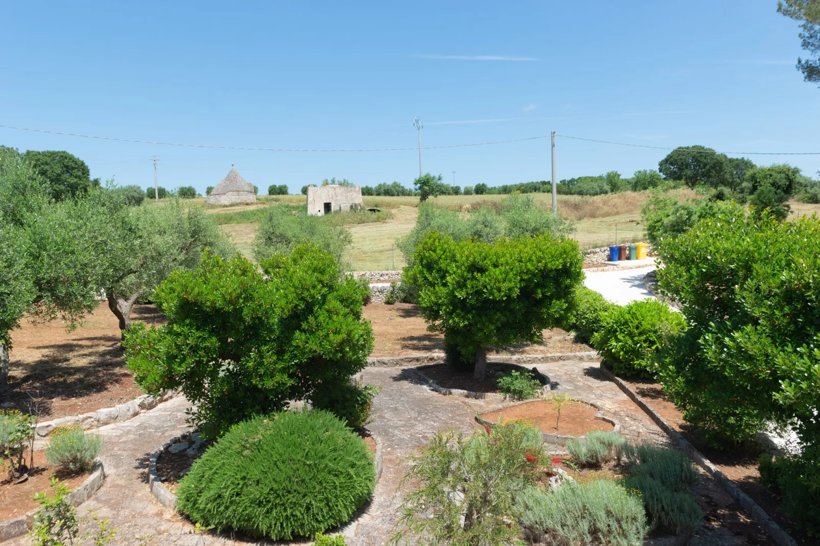 Trulli Tre Corbezzoli - Ostuni-Jardin d'été