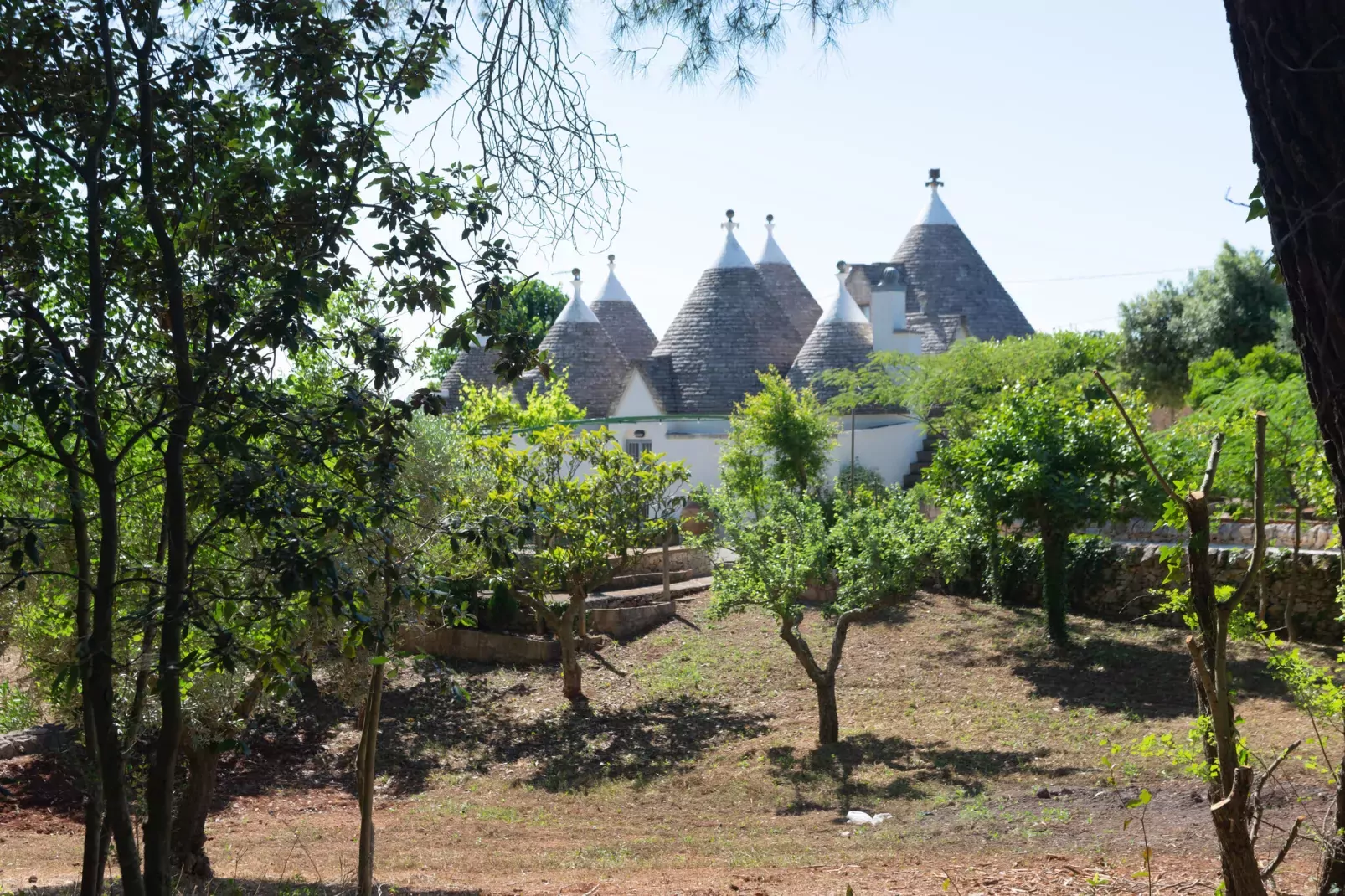 Trulli Tre Corbezzoli - Ostuni-Jardin d'été