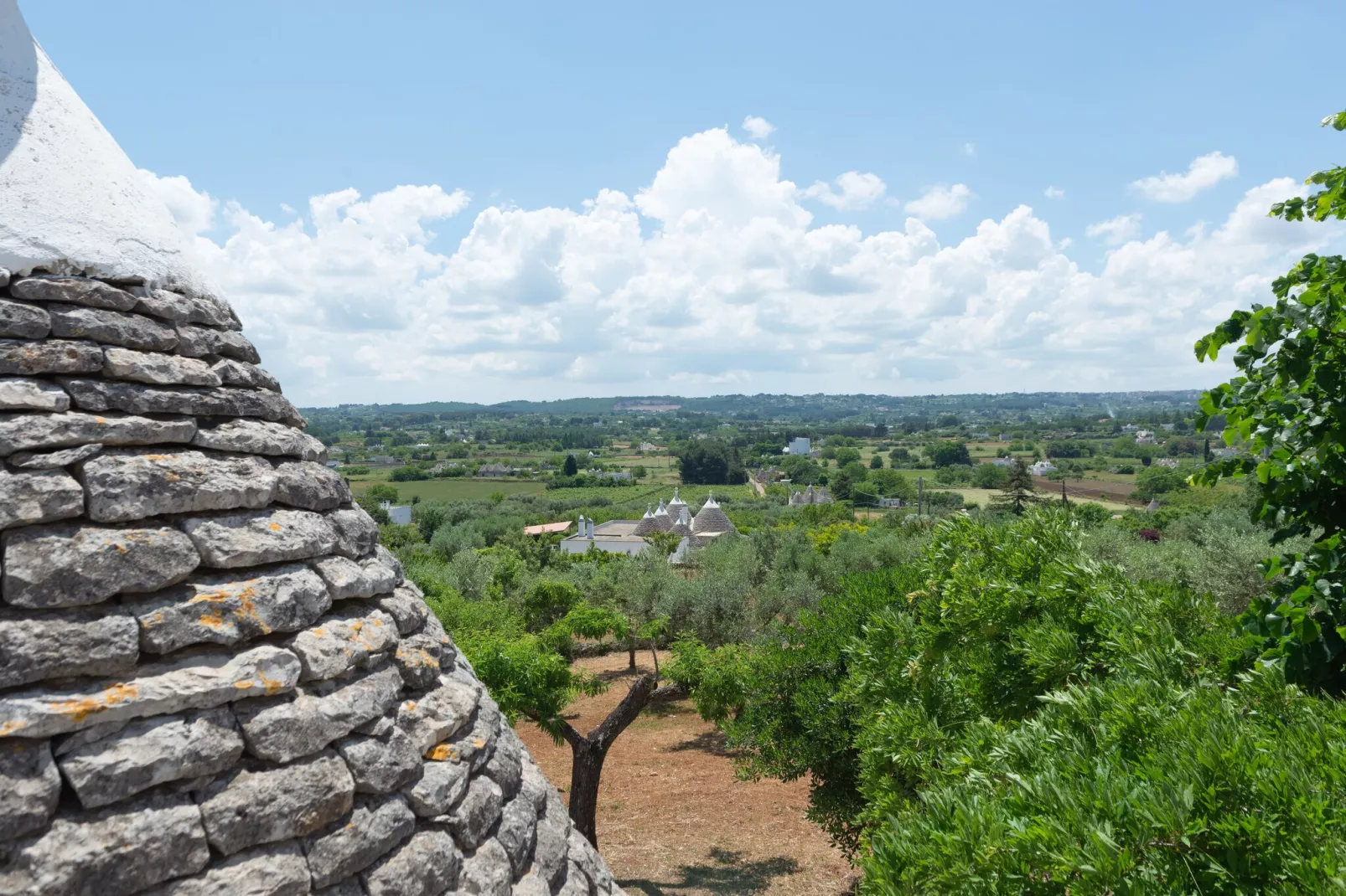Trulli Tre Corbezzoli - Ostuni-Vue d'été
