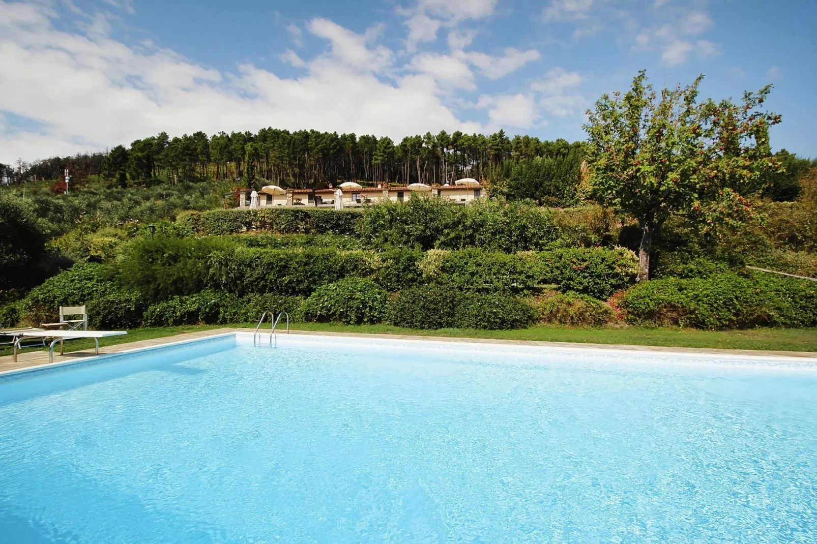 Agriturismo Cima alla Serra Pisa Bilo piano terra o primo piano-Pool