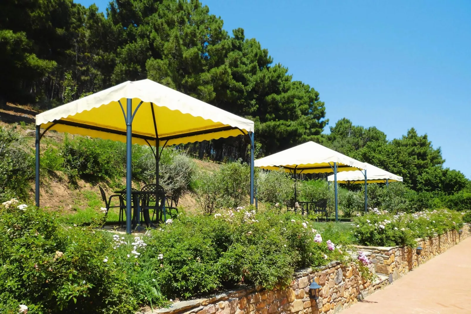 Agriturismo Cima alla Serra Pisa Bilo piano terra o primo piano-Gardens summer