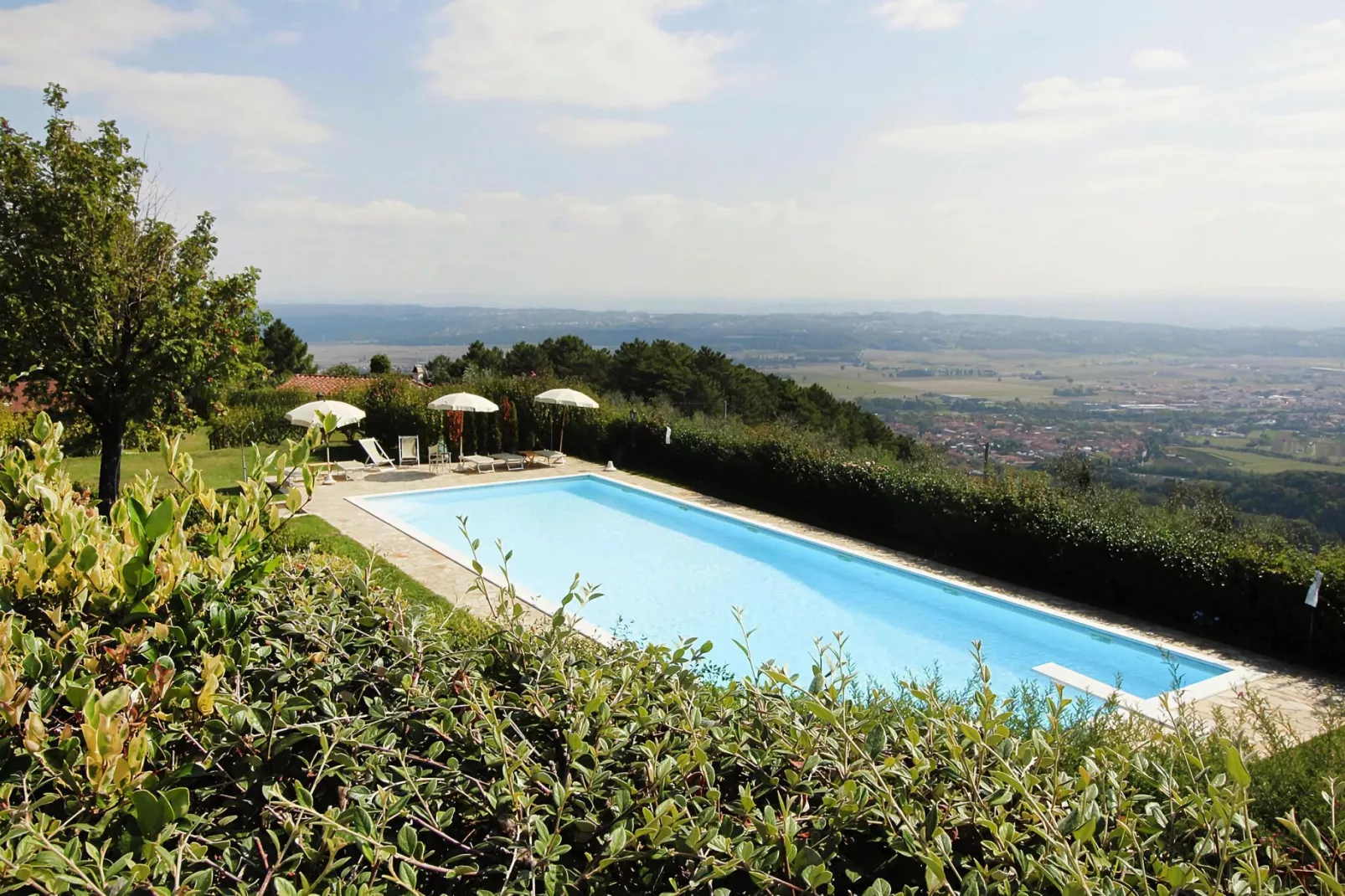 Agriturismo Cima alla Serra Pisa Bilo piano terra o primo piano-View summer
