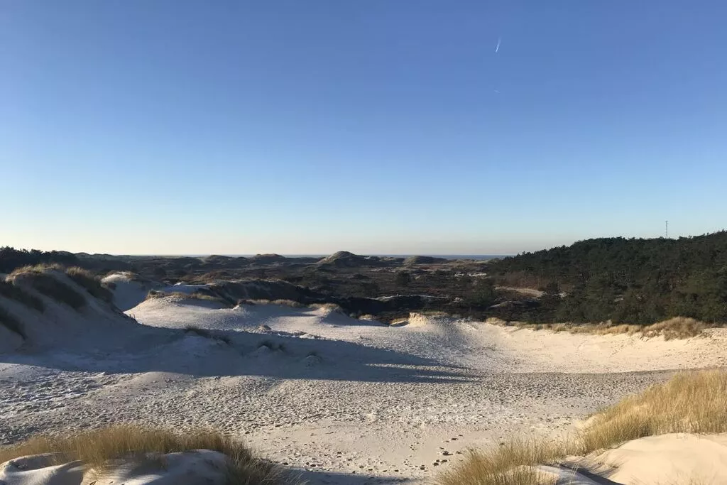 256012-View