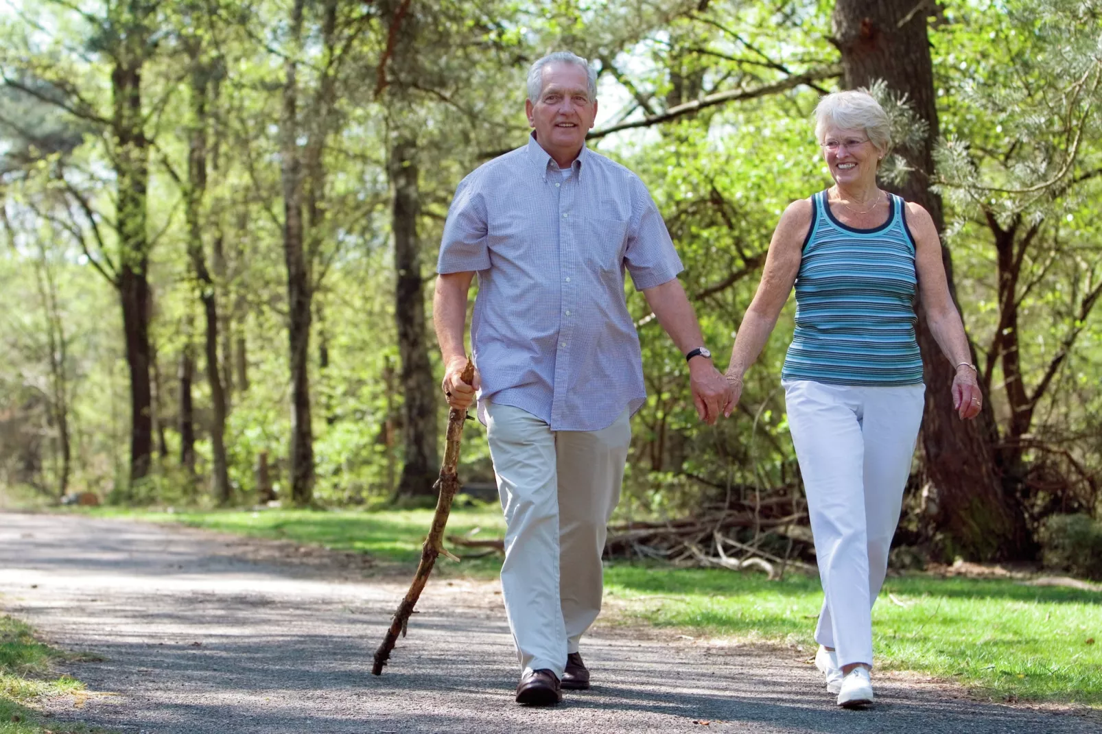 Vakantiepark de Berkenhorst 6-Areas summer 5km
