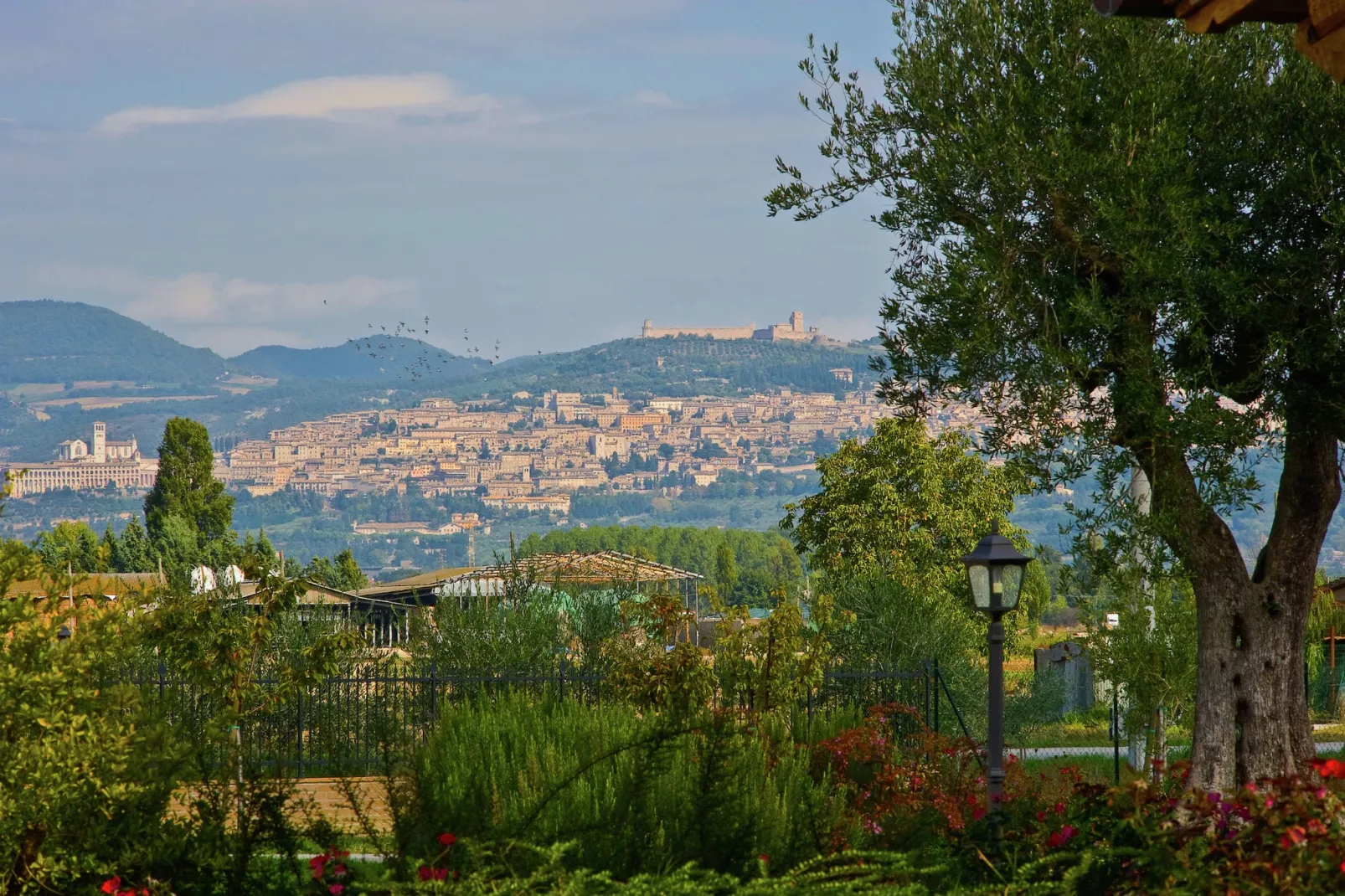 Spello-View summer