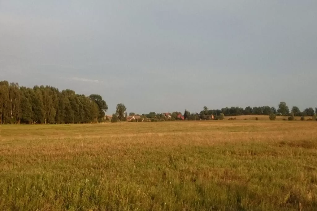 266523-View