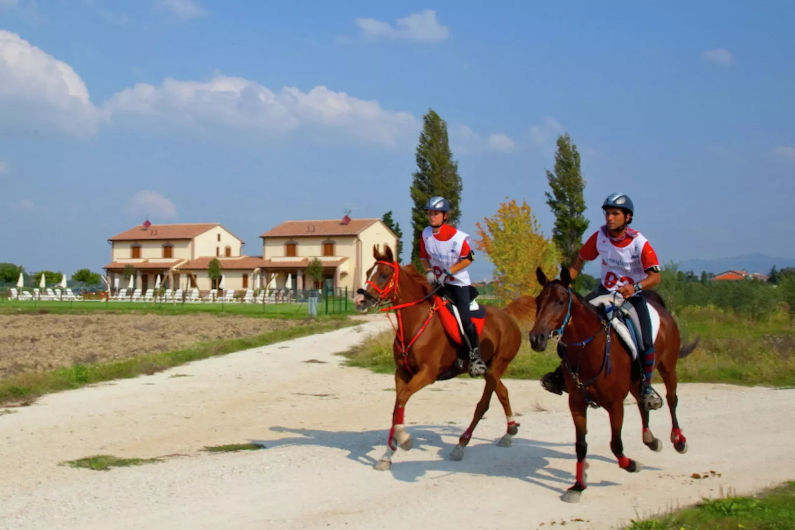 Spello-Areas summer 1km