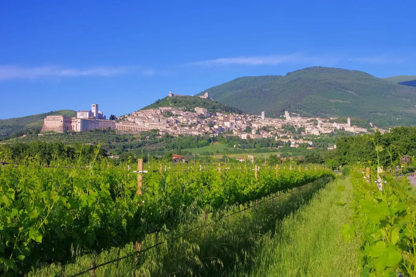 Spello-Areas summer 5km