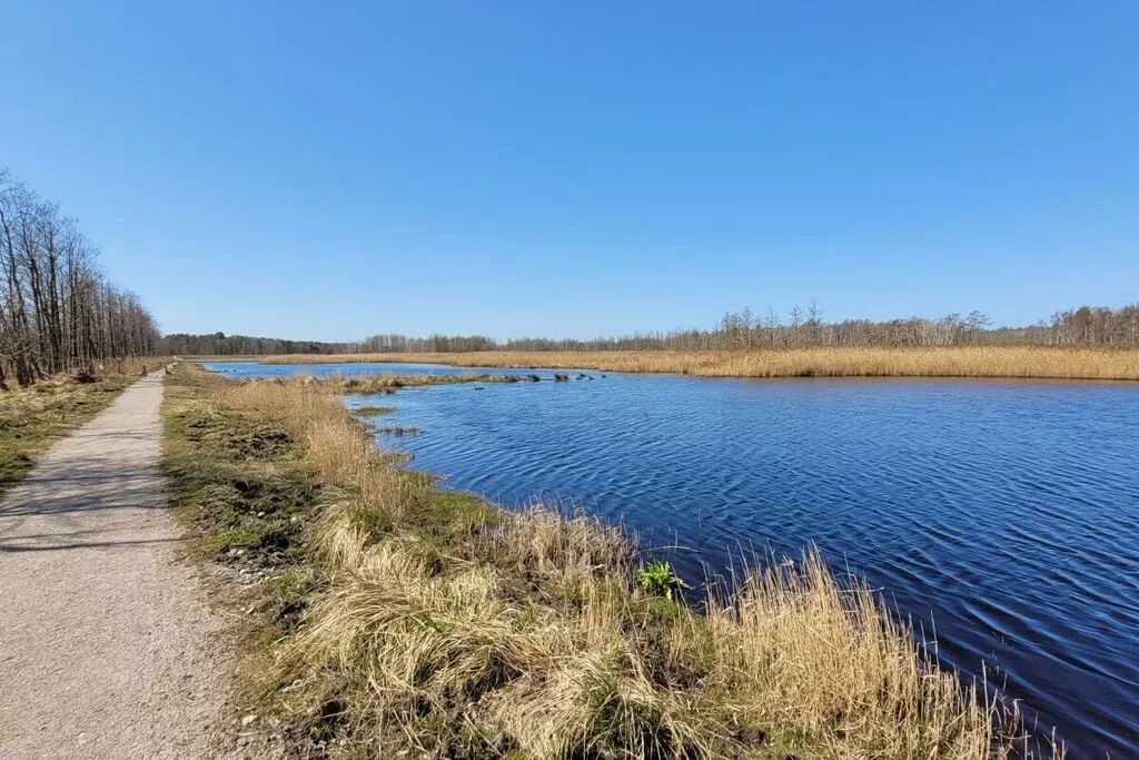 295764-Nicht getaggt