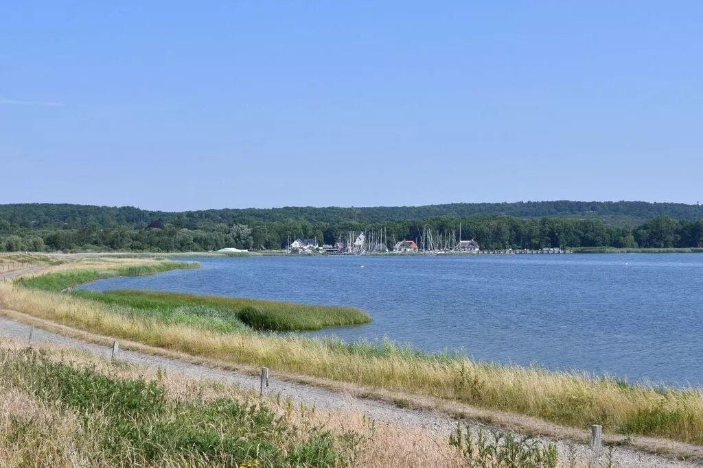 408423-View