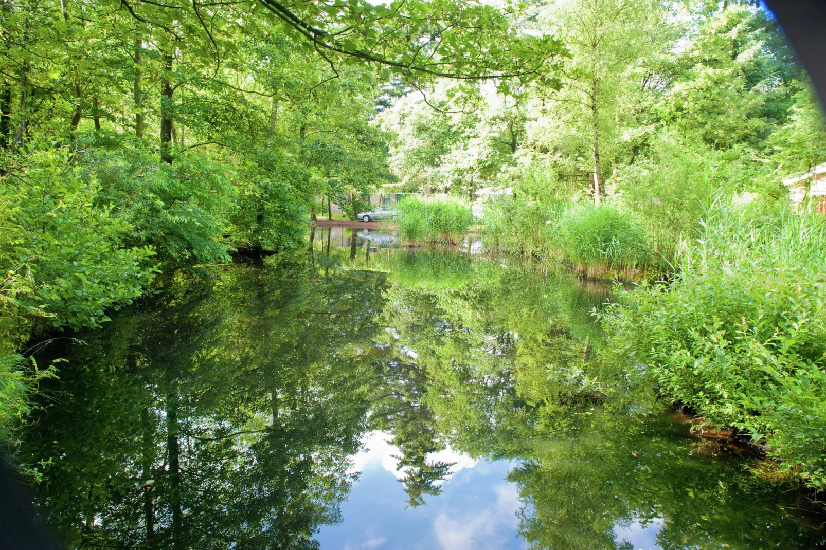 Vakantiepark de Berkenhorst 8-Areas summer 5km