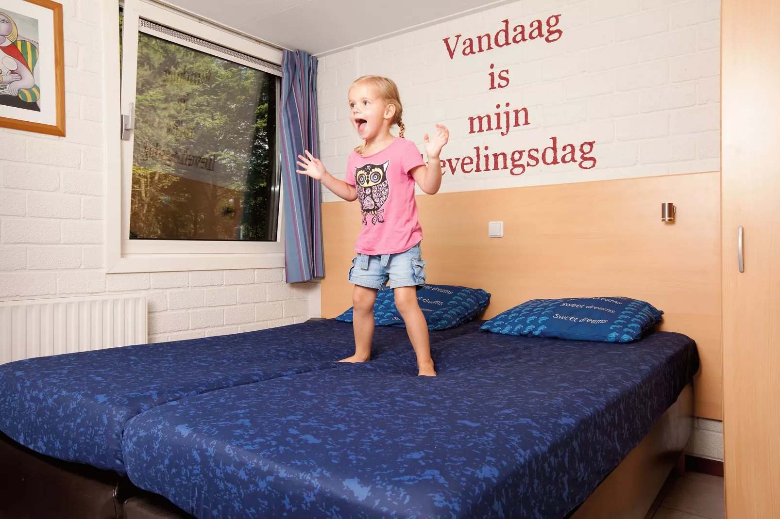 Vakantiepark de Berkenhorst 4-Bedroom