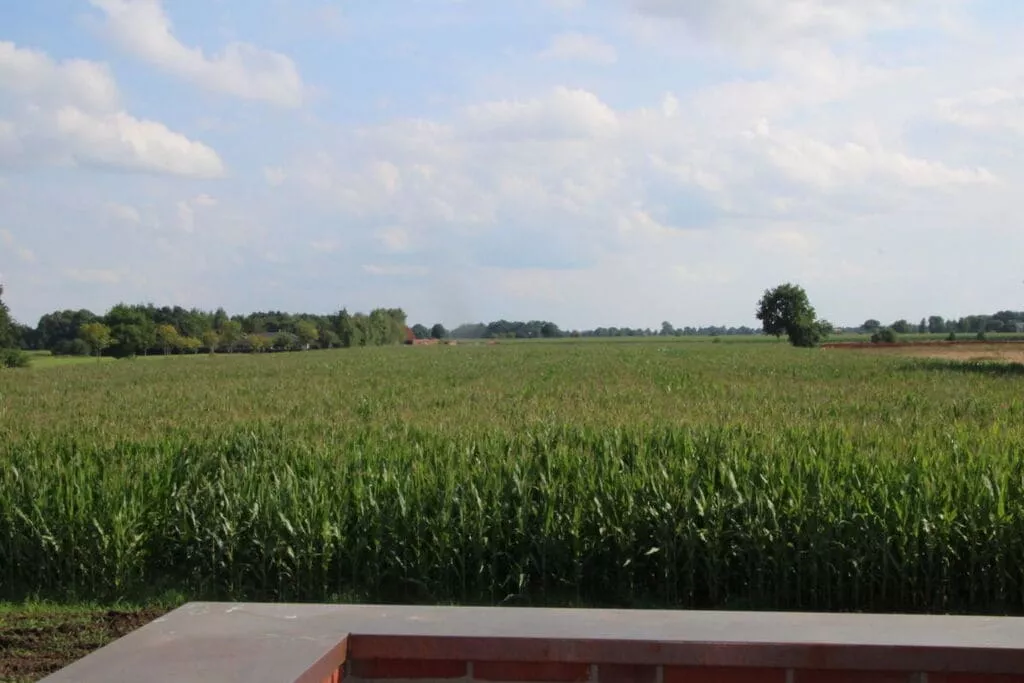 194058-View