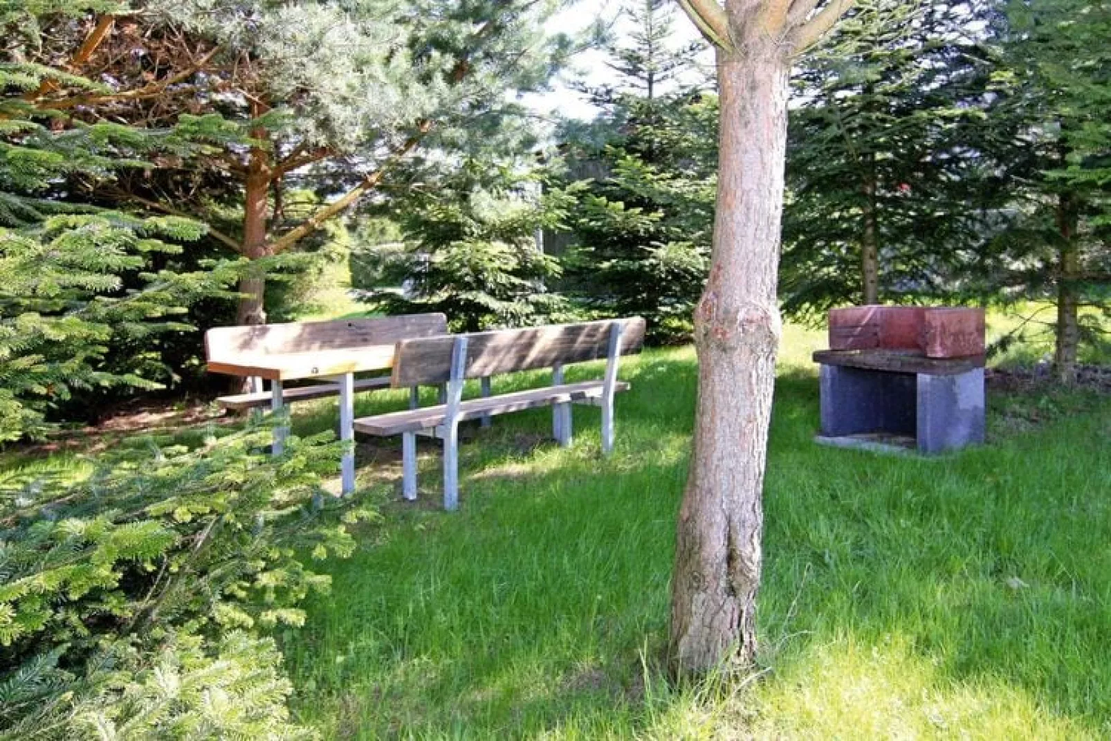 App Alte Schmiede-Gardens summer