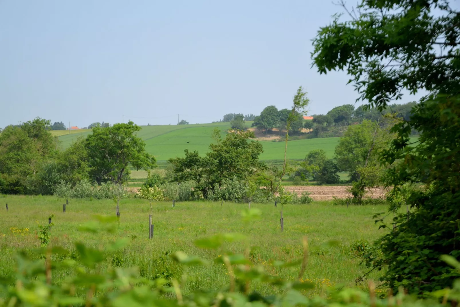 Londefort-View summer