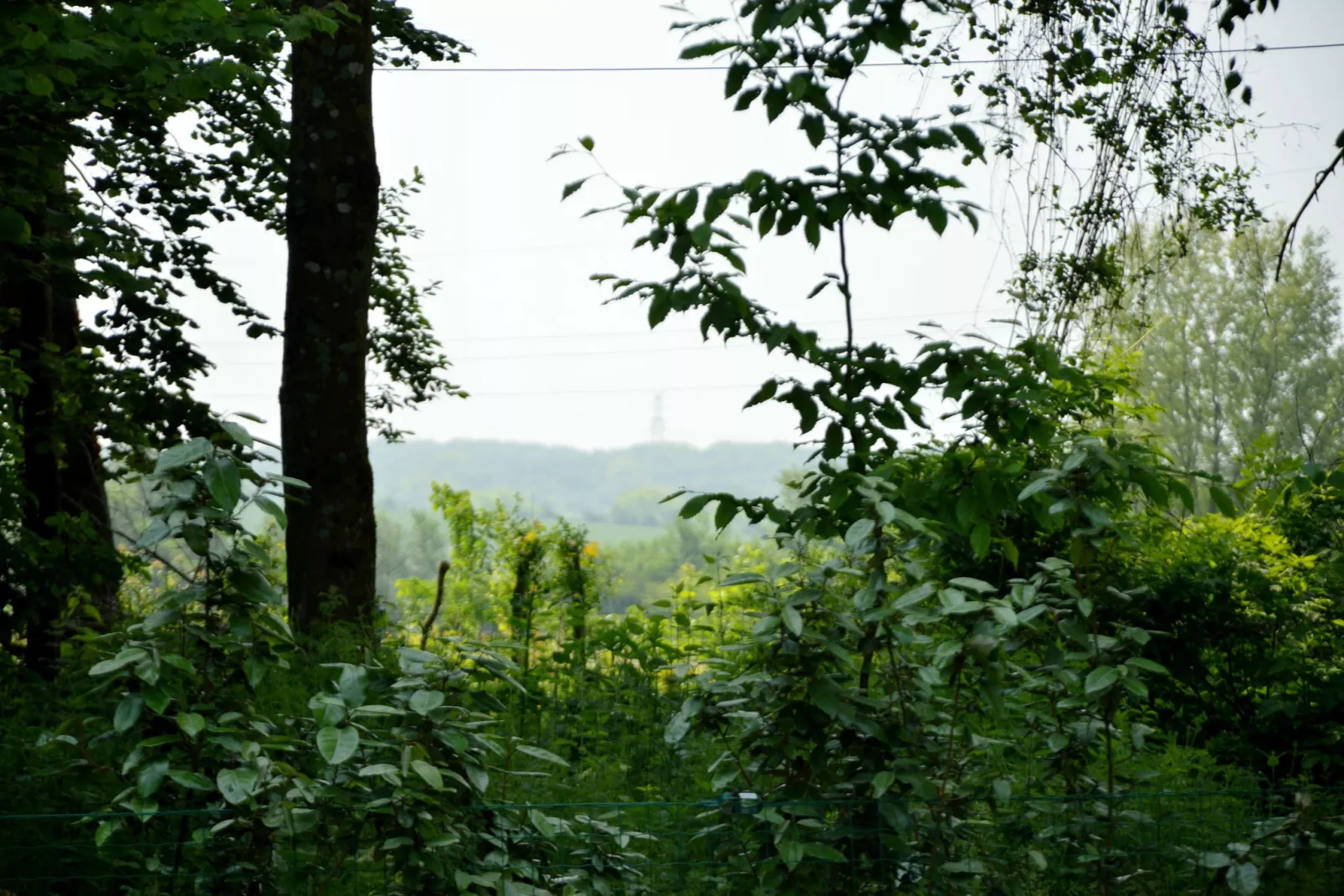 Londefort-View summer