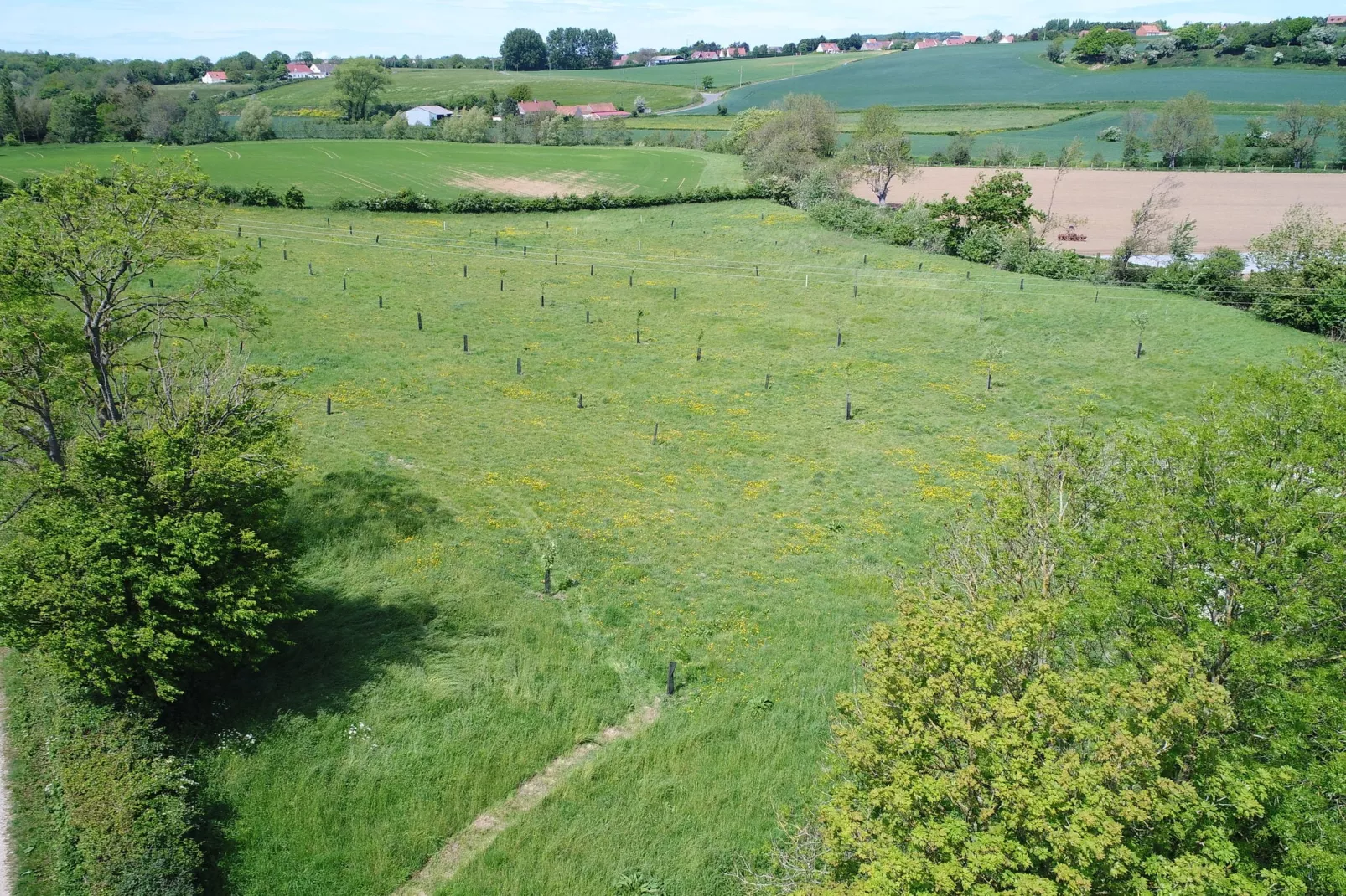 Londefort-Areas summer 1km