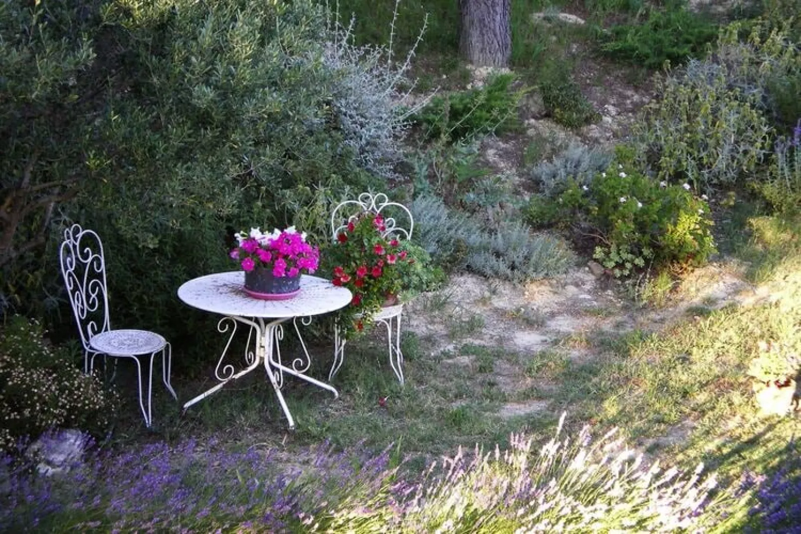 Ferienwohnung in Bellegarde / Les Santolines-Gardens summer