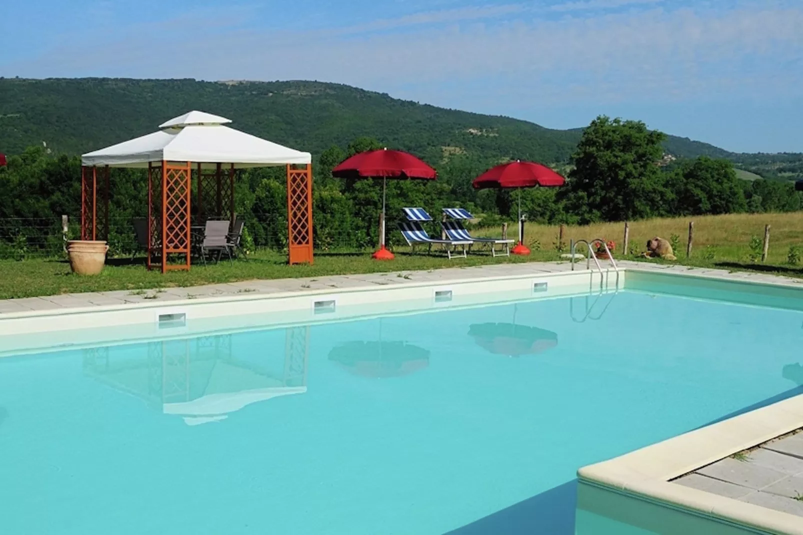 Nerone-Pool