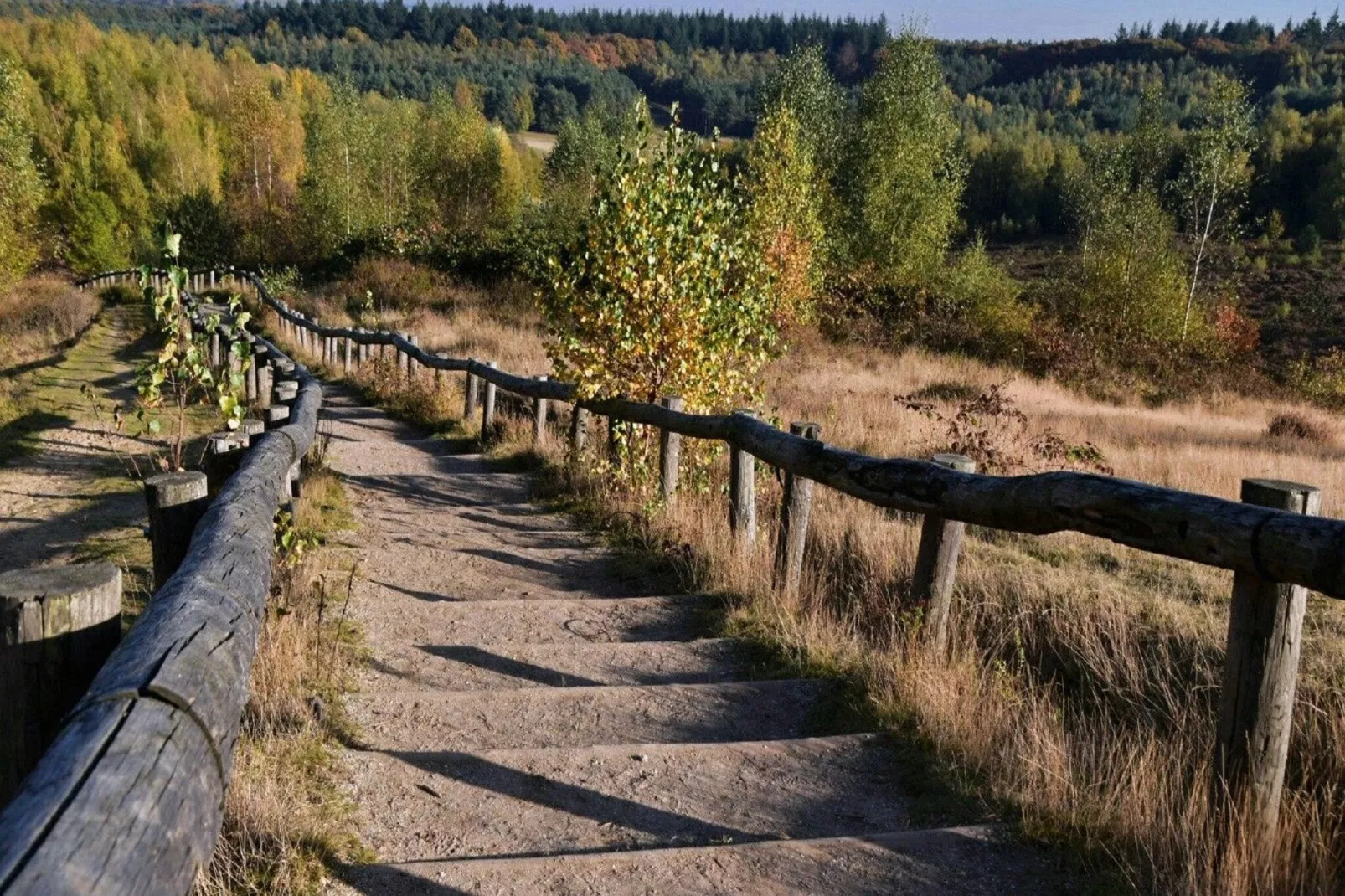 Vakantiepark de Thijmse Berg 11-Park facilities