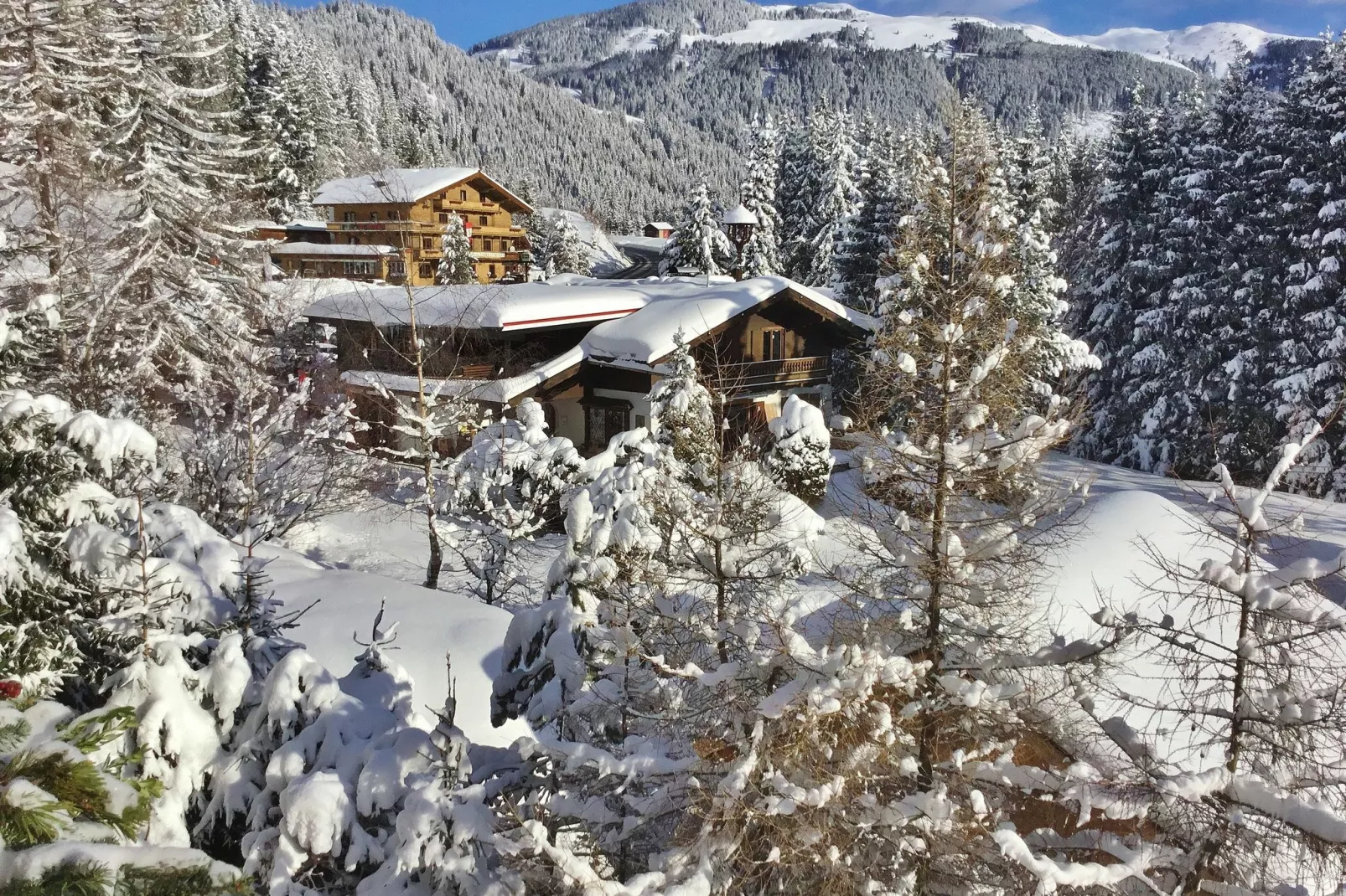 Panorama Chalet TOP 10-View winter