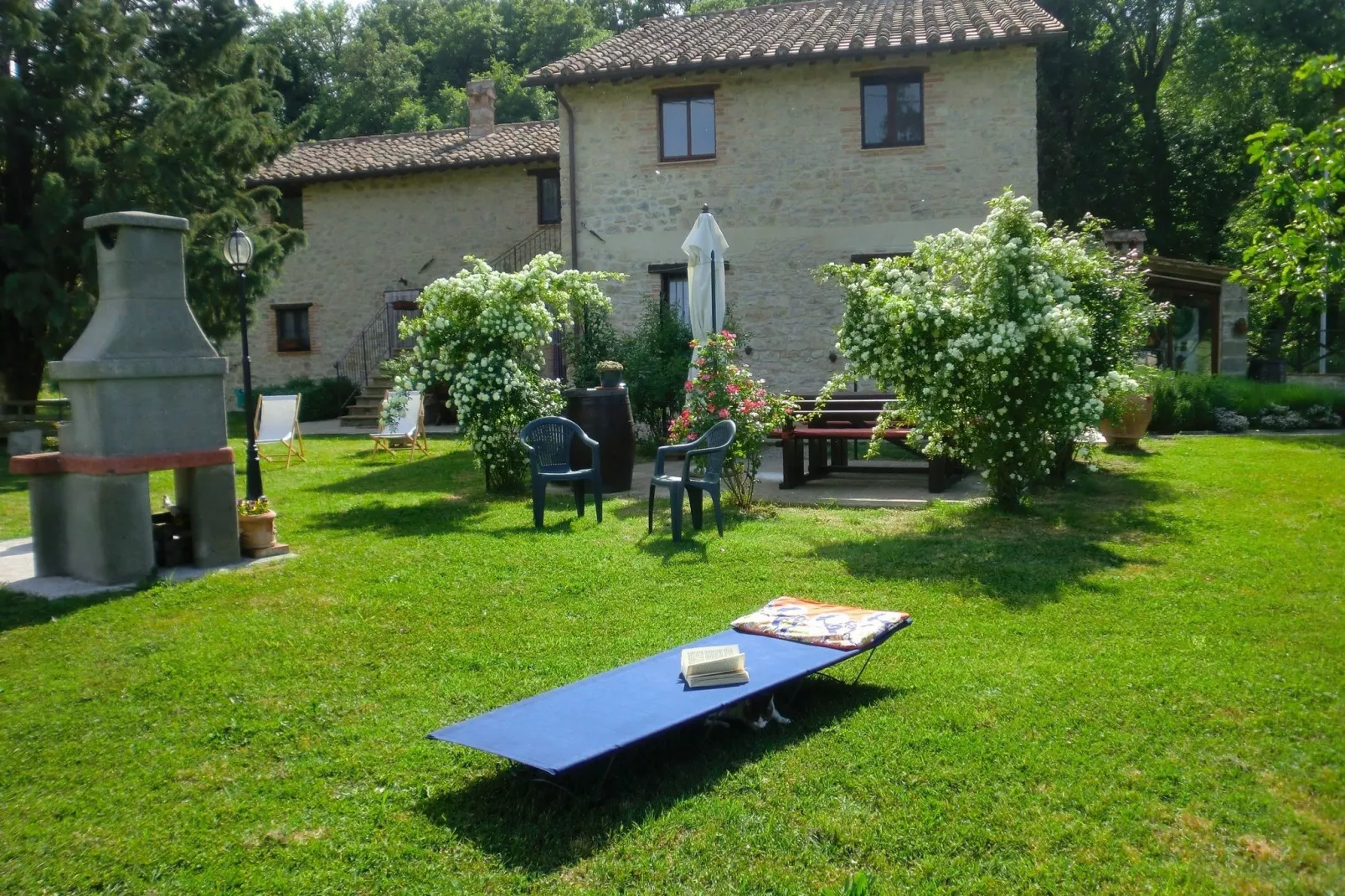 Lavanda-Exterior summer