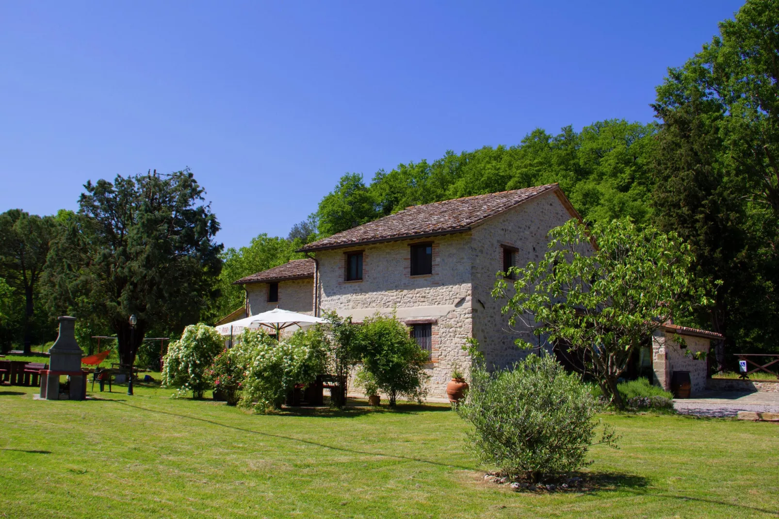 Lavanda-Exterior summer