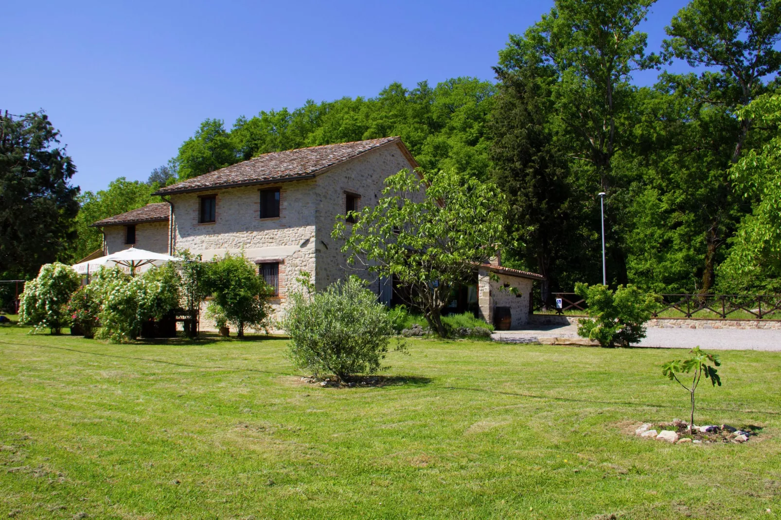 Lavanda-Exterior summer