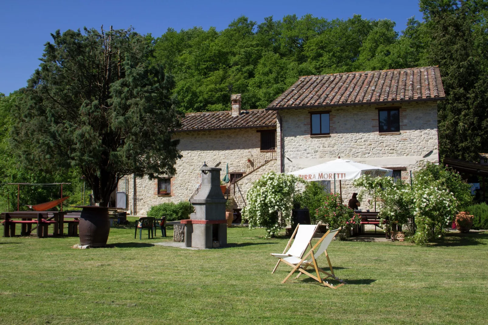 Lavanda-Exterior summer