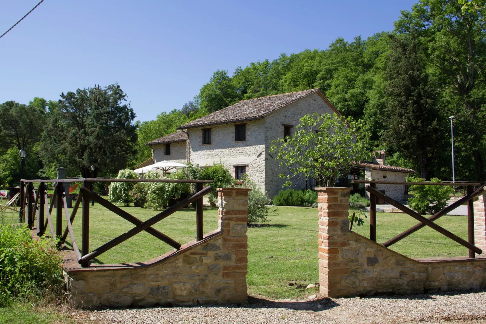 Lavanda-Exterior summer