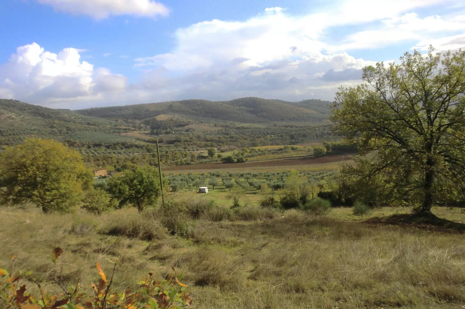 Lavanda-Areas summer 1km