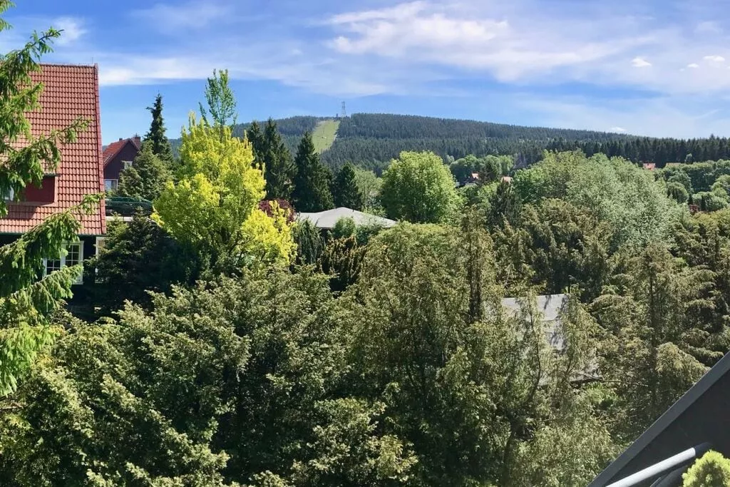 257303-View