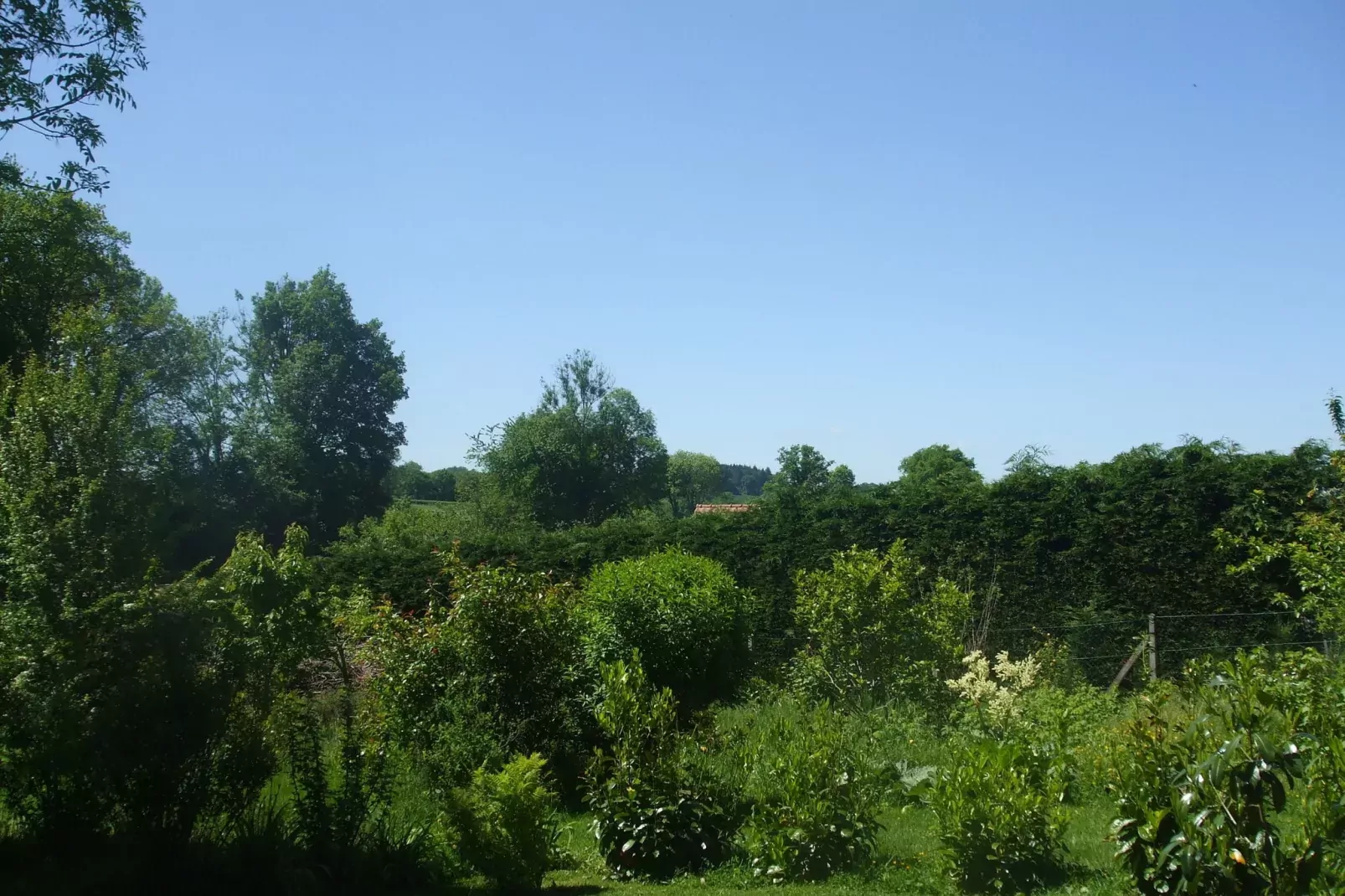 Gîte d'Artisan-View summer