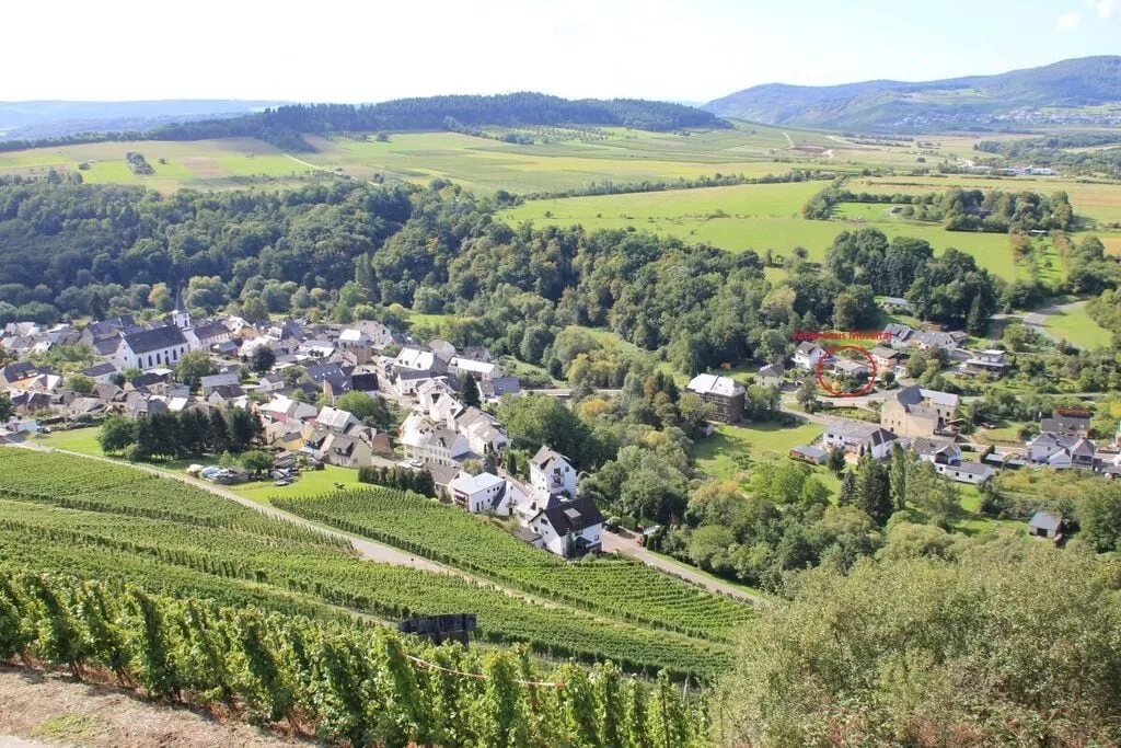 97253-Vue